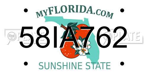 58IA762 Florida License Plate