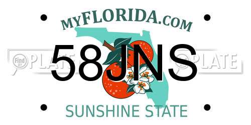 58JNS Florida License Plate