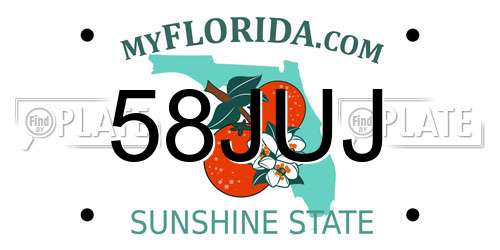 58JUJ Florida License Plate