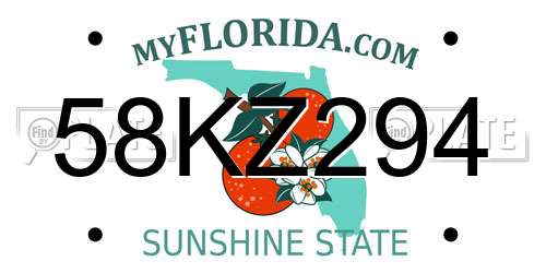 58KZ294 Florida License Plate