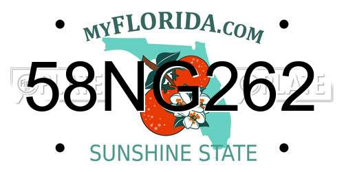 58NG262 Florida License Plate
