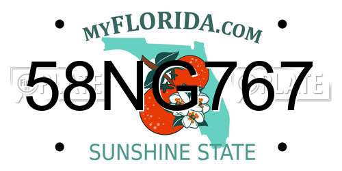 58NG767 Florida License Plate