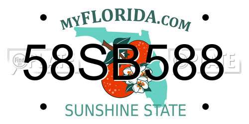 58SB588 Florida License Plate