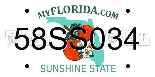58SS034 Florida License Plate