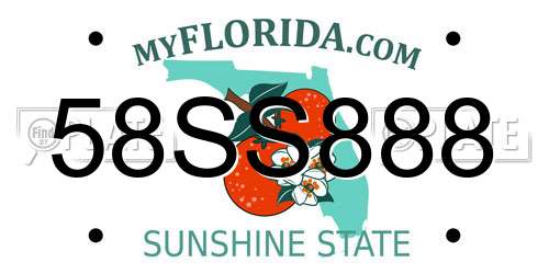 58SS888 Florida License Plate