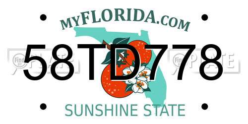 58TD778 Florida License Plate