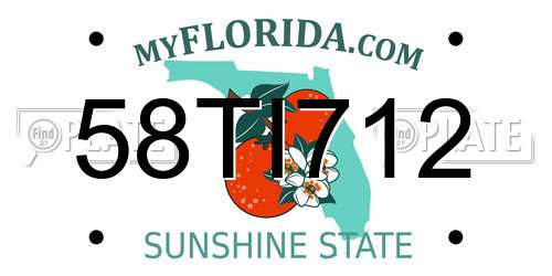 58TI712 Florida License Plate