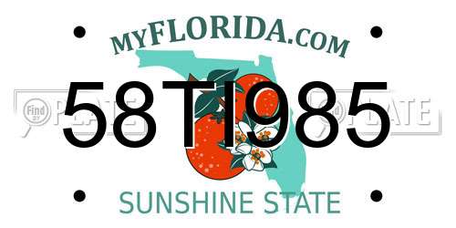 58TI985 Florida License Plate