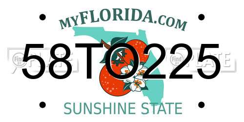 58TO225 Florida License Plate