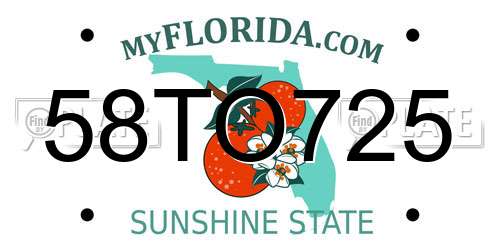 58TO725 Florida License Plate