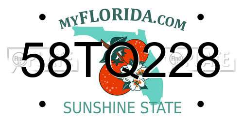 58TQ228 Florida License Plate