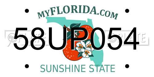 58UP054 Florida License Plate