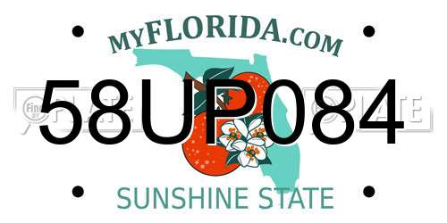 58UP084 Florida License Plate