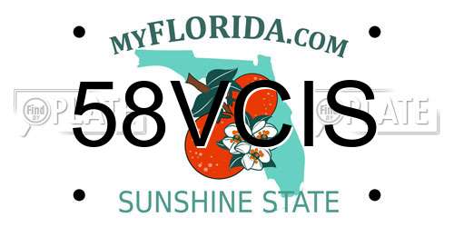 58VCIS Florida License Plate