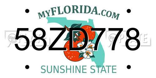 58ZD778 Florida License Plate