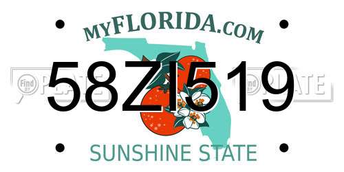 58ZI519 Florida License Plate