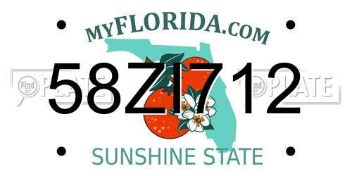 58ZI712 Florida License Plate