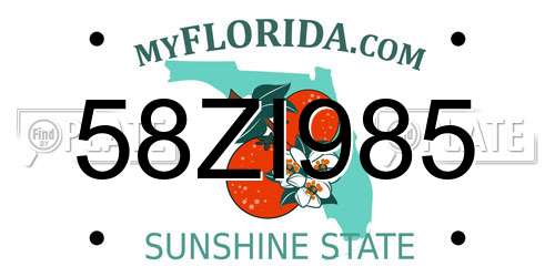 58ZI985 Florida License Plate