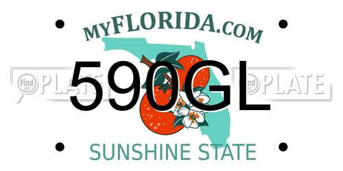 590GL Florida License Plate