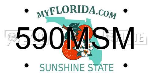 590MSM Florida License Plate