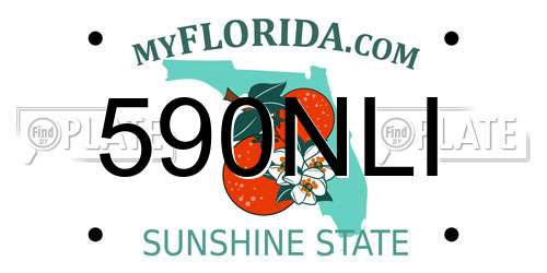 590NLI Florida License Plate