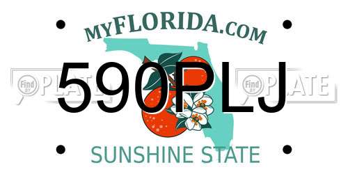 590PLJ Florida License Plate