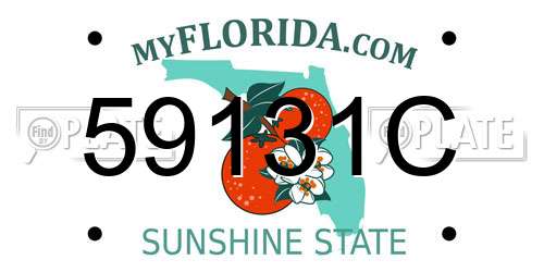 59131C Florida License Plate