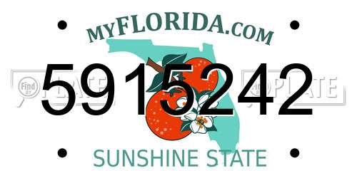 5915242 Florida License Plate