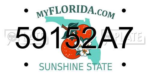 59152A7 Florida License Plate