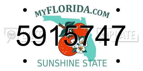 5915747 Florida License Plate