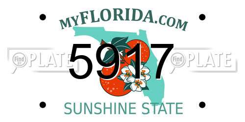 5917 Florida License Plate
