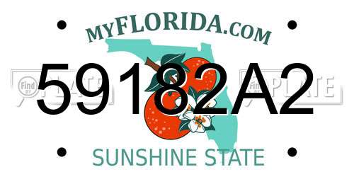 59182A2 Florida License Plate