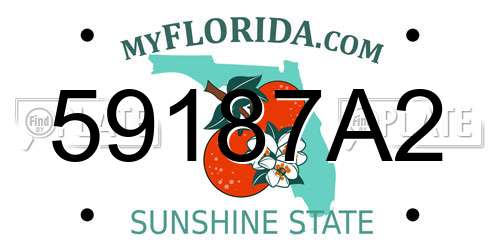 59187A2 Florida License Plate