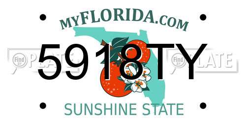 5918TY Florida License Plate