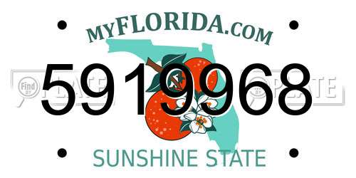 5919968 Florida License Plate