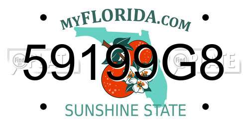 59199G8 Florida License Plate
