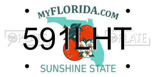591LHT Florida License Plate