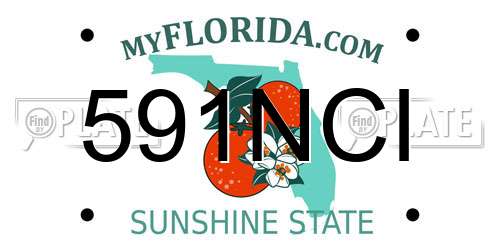 591NCI Florida License Plate