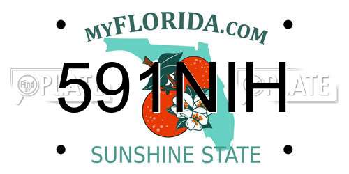 591NIH Florida License Plate
