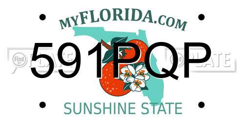591PQP Florida License Plate