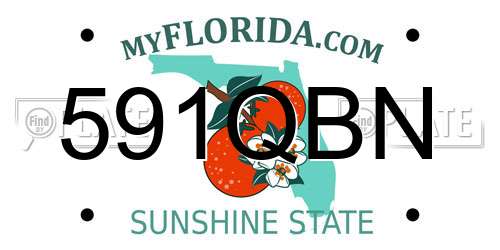 591QBN Florida License Plate