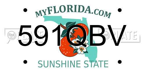 591QBV Florida License Plate