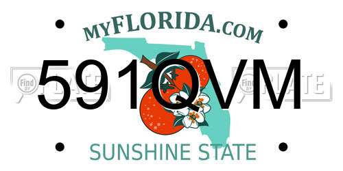 591QVM Florida License Plate