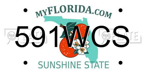 591WCS Florida License Plate