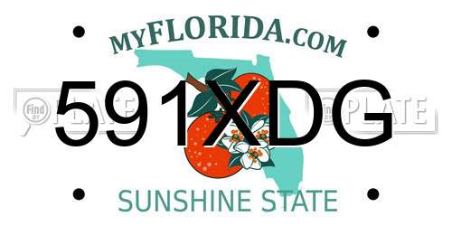 591XDG Florida License Plate