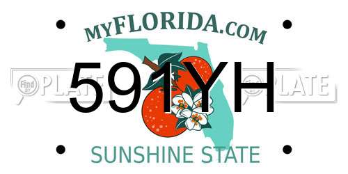 591YH Florida License Plate