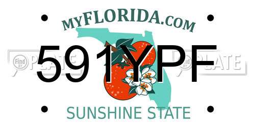 591YPF Florida License Plate