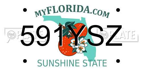 591YSZ Florida License Plate
