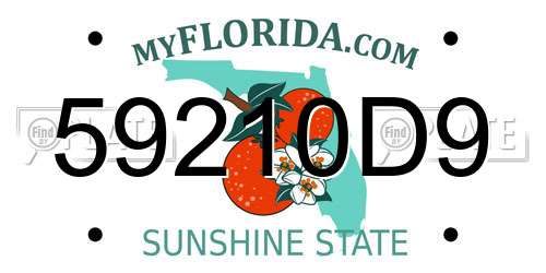 59210D9 Florida License Plate