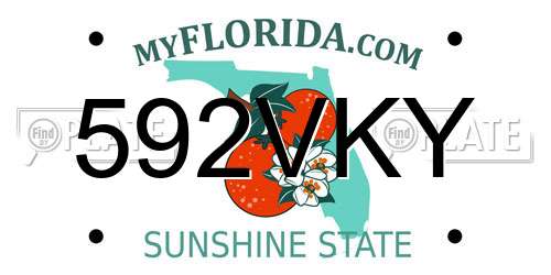 592VKY Florida License Plate
